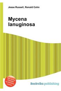 Mycena Lanuginosa