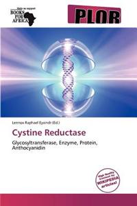 Cystine Reductase