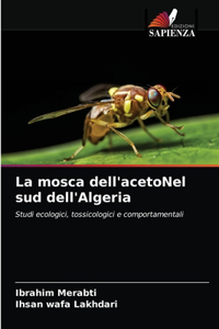 mosca dell'acetoNel sud dell'Algeria