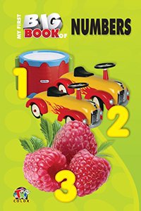 My First Big Book - Numbers