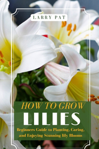 How to Grow Lilies