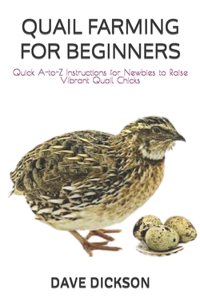 Quail Farming for Beginners