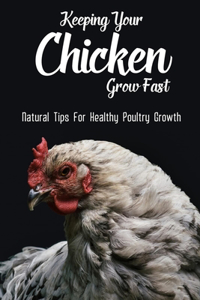 Keeping Your Chicken Grow Fast