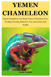 Yemen Chameleon