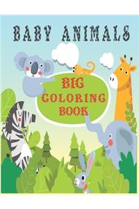 Baby animals big coloring book