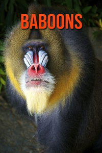 Baboons: Super Fun Facts And Amazing Pictures