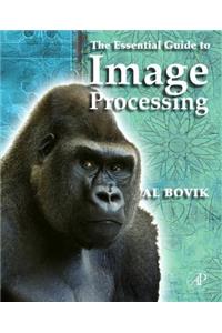 Essential Guide to Image Processing