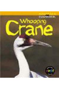 Animals in Danger: Whooping Crane  Paperback