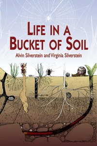 Life in a Bucket of Soil