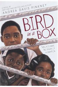 Bird in a Box