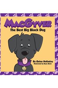 Macgyver the Best Big Black Dog