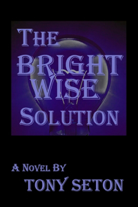Bright Wise Solution