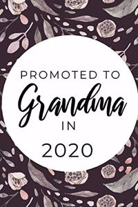 Promoted To Grandma in 2020