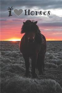 I Love Horses