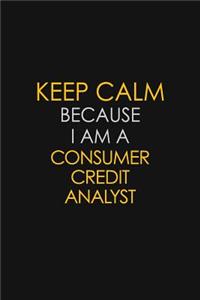 Keep Calm Because I Am A Consumer Credit Analyst