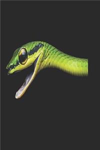 Snake Notebook