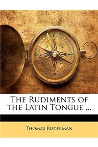 The Rudiments of the Latin Tongue ...