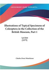 Illustrations of Typical Specimens of Coleoptera in the Collection of the British Museum, Part 1