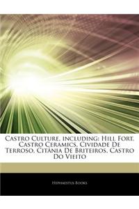 Articles on Castro Culture, Including