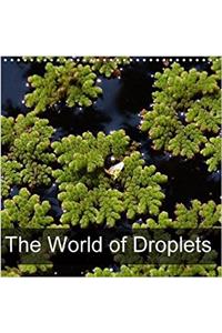 The World of Droplets 2018