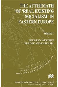 The Aftermath of ‘Real Existing Socialism’ in Eastern Europe