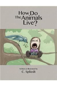 How Do The Animals Live?