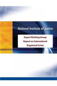 Expert Working Group Report on International Organized Crime