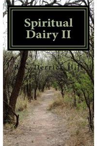 Spiritual Dairy II