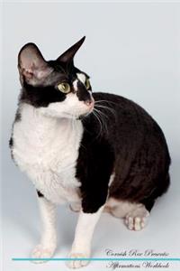 Cornish Rex Affirmations Workbook Cornish Rex Presents