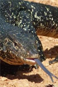 Monitor Lizard Portrait Journal