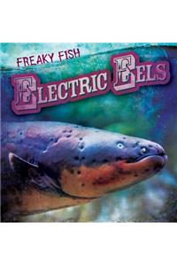 Electric Eels