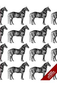 Horse Notebook Collection