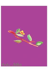 Marvelous Sketchbook