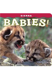 Sierra Babies!