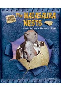 The Maiasaura Nests