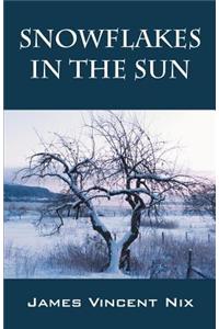 Snowflakes in the Sun