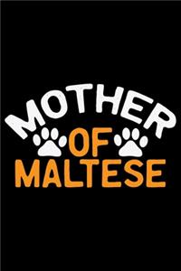 Mother Of Maltese