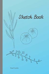Sketch book
