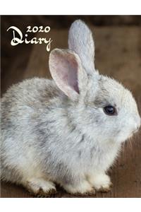 2020 Diary