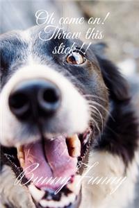 Funny Dog