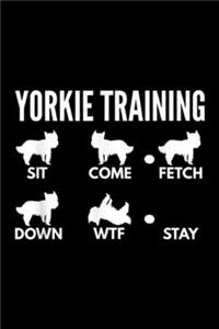 Yorkie Training sit come fetch down wtf stay