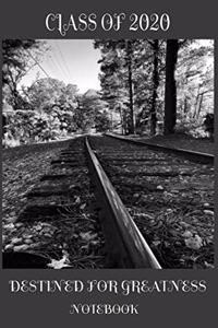 Class of 2020 Destined For Greatness