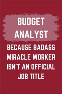 Budget Analyst Because Badass Miracle Worker Isn't An Official Job Title