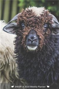 SHEEP! A 2020 Weekly Planner