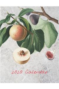 2020 Calendar