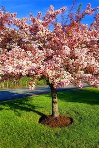 2020 Weekly Planner Flowering Tree Full Bloom 134 Pages