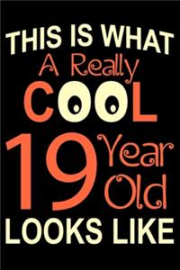 A Really Cool 19 Year Old