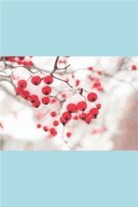 Holiday Journal