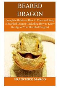 Bearded Dragon