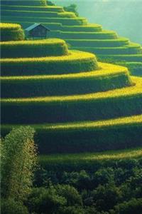 Green Tiers Journal